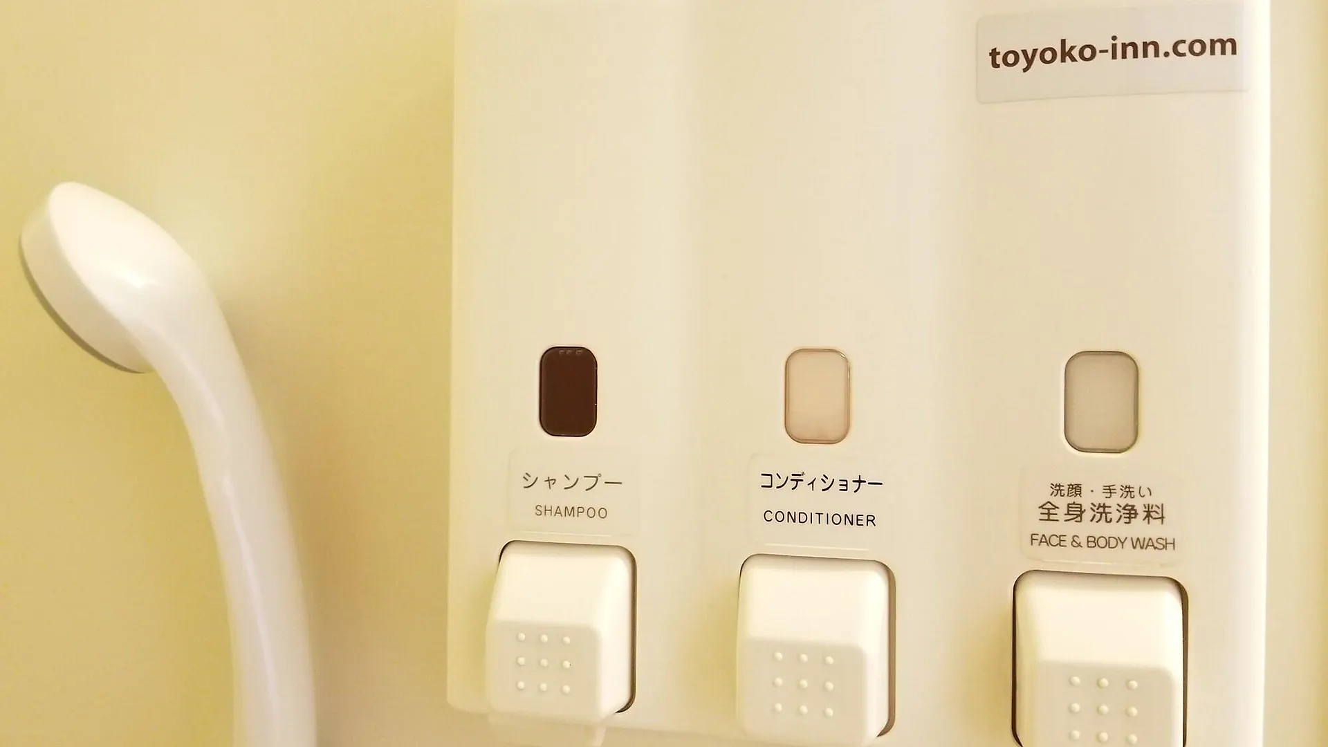 Toyoko Inn Nihombashi Bakurocho Tokyo Hotel